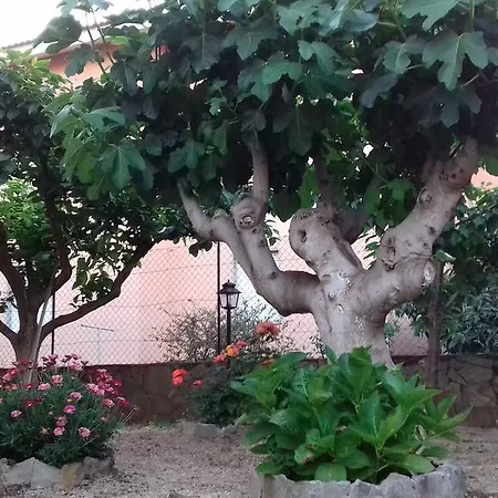 Atir Porto Torres